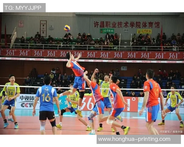 成都排球队的团队协作精神与排球竞技的完美结合探讨